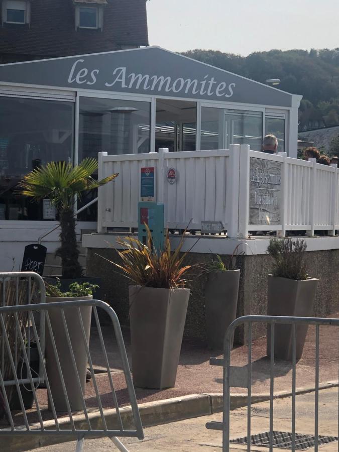 La Digue 45 Rue Des Lais De Mer Bénerville-sur-Mer 외부 사진